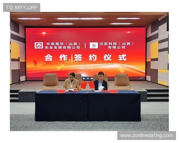 尊龙集团(Z6)投资合作指南：合作流程、风险控制及行业合作伙伴推荐